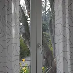 Bed & Breakfast La Ciliegia Bianca Belgirate