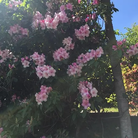 La Ciliegia Bianca 住宿加早餐酒店 *