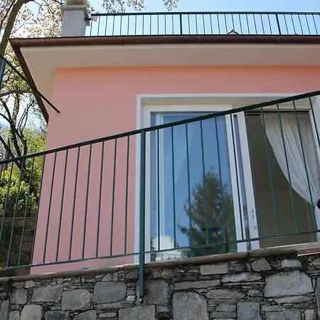 La Ciliegia Bianca *