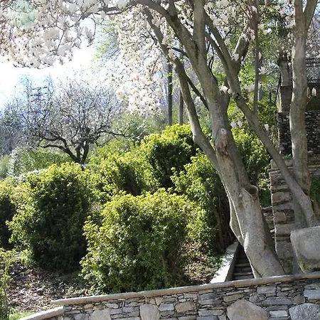 La Ciliegia Bianca * 贝尔吉拉泰