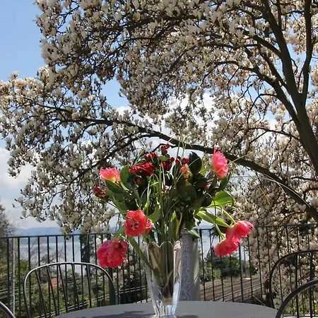 La Ciliegia Bianca 住宿加早餐酒店