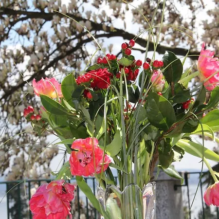 La Ciliegia Bianca 住宿加早餐酒店 *