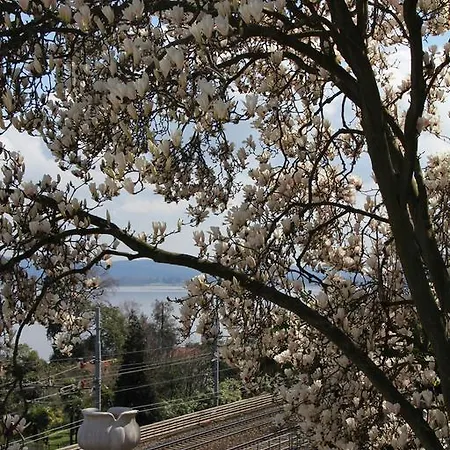 La Ciliegia Bianca * 贝尔吉拉泰