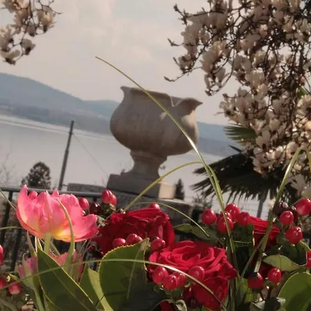 住宿加早餐酒店 La Ciliegia Bianca