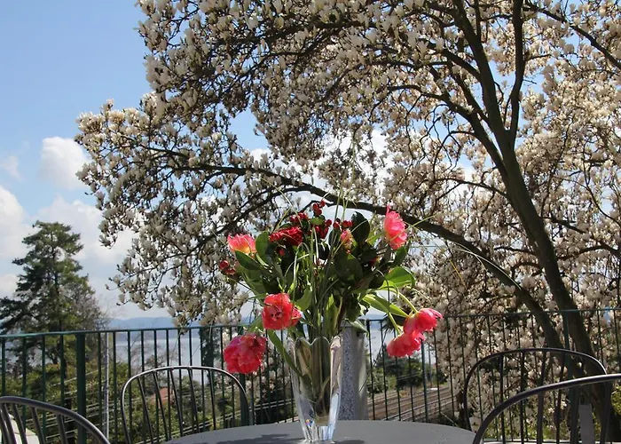 La Ciliegia Bianca Bed and Breakfast